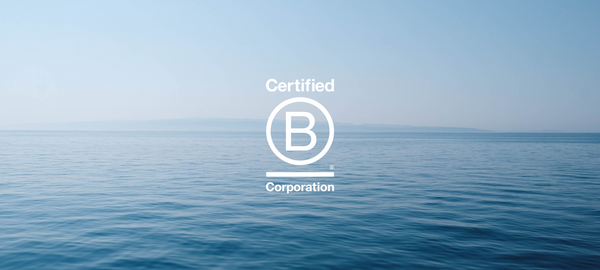 Why Do We Value the B Corp Movement?