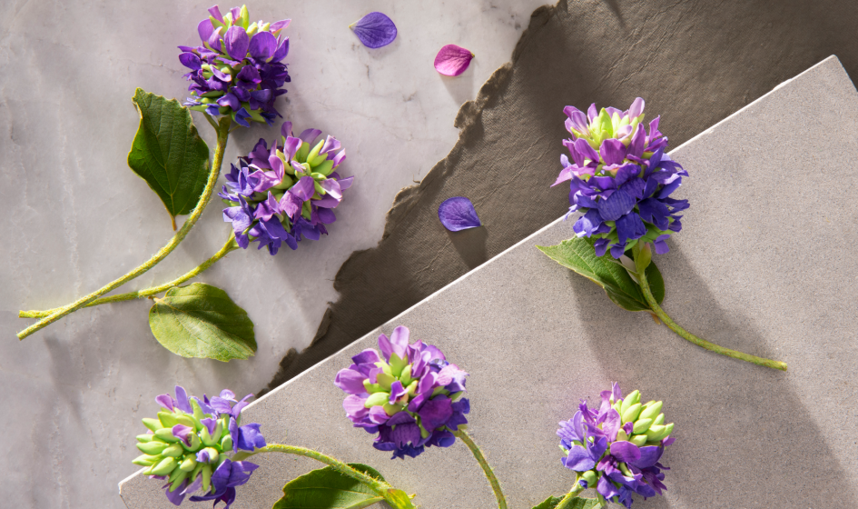 How to Get Retinol Results, Naturally: Meet Bakuchiol