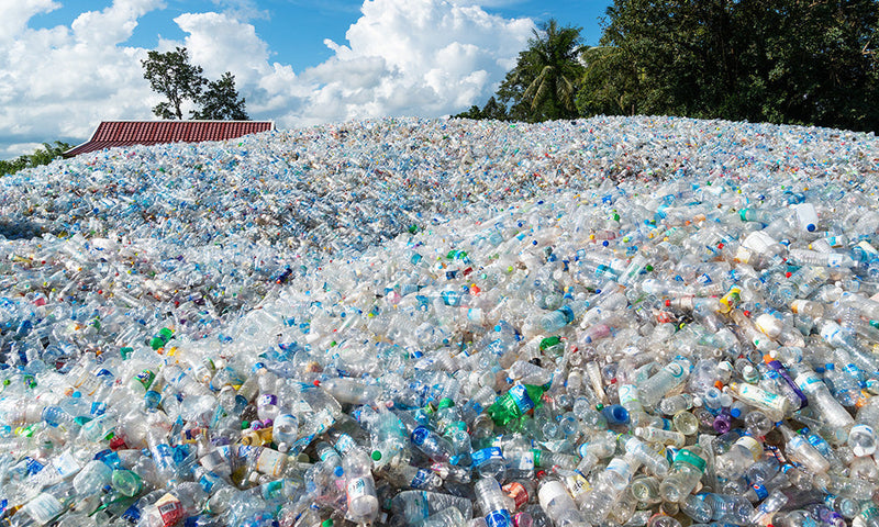 Plastic Free July: Why Returning Your Empties Matters