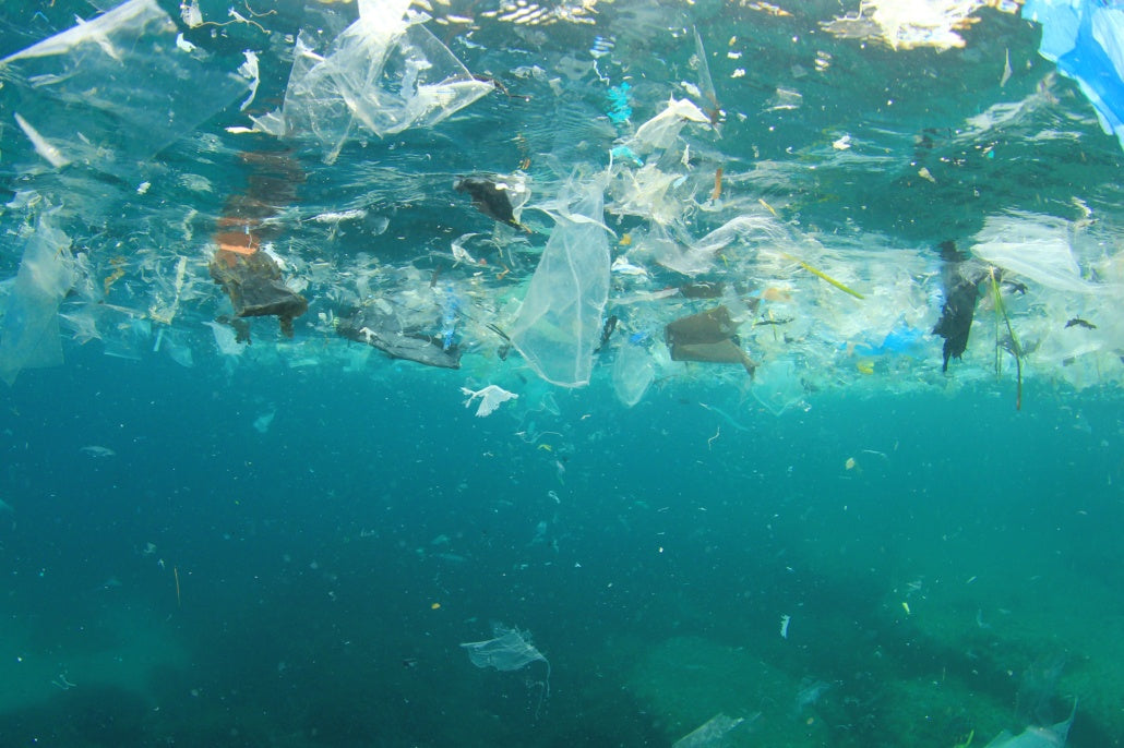 The Truth About Plastic