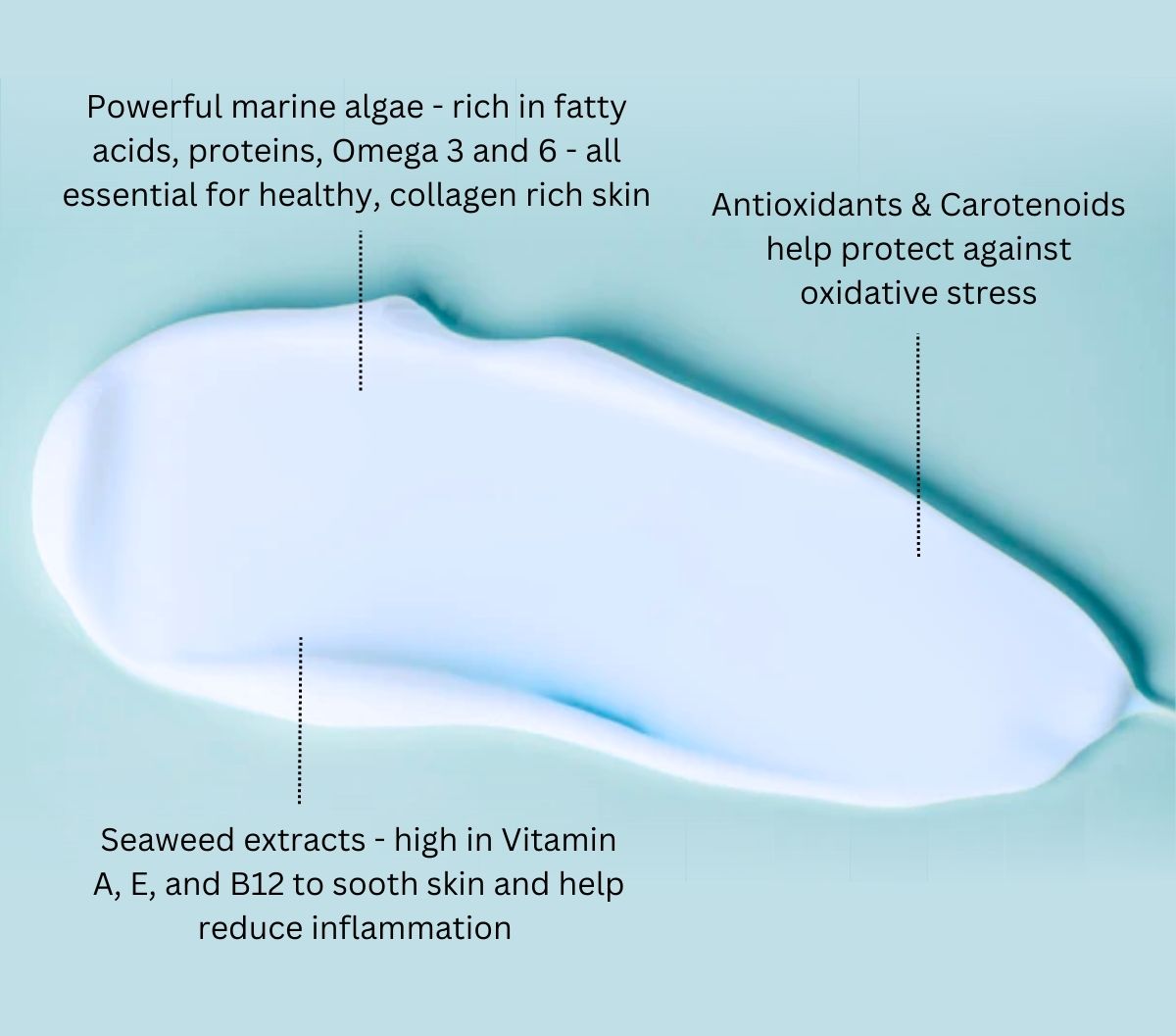 Seahorse Plankton+ Really Radiant Moisturiser